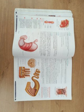 Biología y Geología 3º ESO. Libro del estudiant...