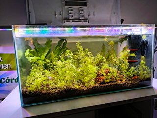 Acuario Aquael 56L con Mesa