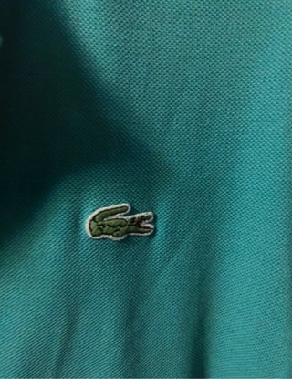 Maglietta Lacoste Uomo Verde