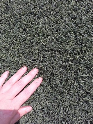 Césped artificial verde y olivo