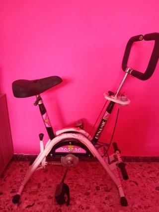 Bicicleta Estática Vintage Togano
