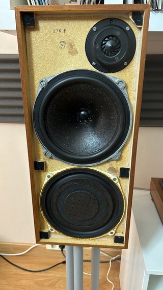 Altavoces Celestion Ditton 15