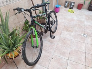Bicicleta JL-WENTI Arroyo Negra y Verde