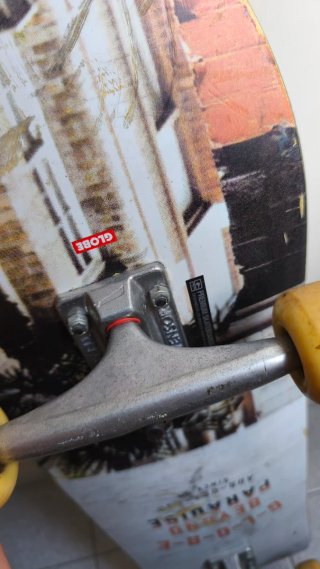 Skate Globe 8.125" Globe