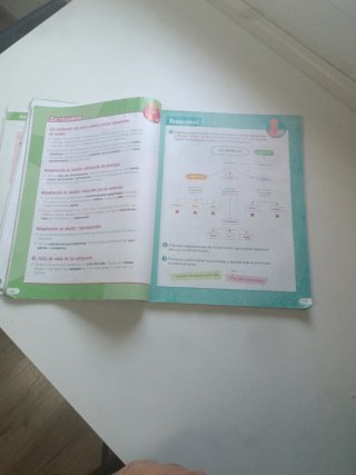 Libro SM 3 primaria conocimiento del medio
