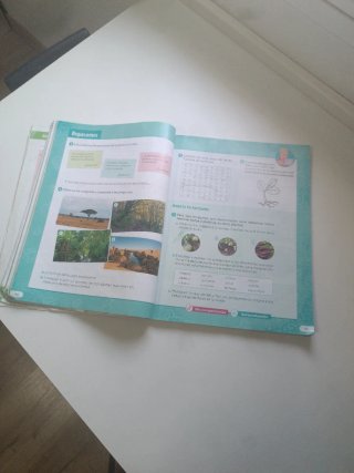 Libro SM 3 primaria conocimiento del medio
