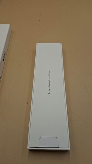Apple Pencil USB-C Blanco 3491