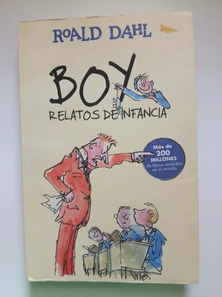 Libro Boy: relatos de infancia