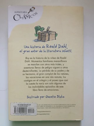 Libro Boy: relatos de infancia