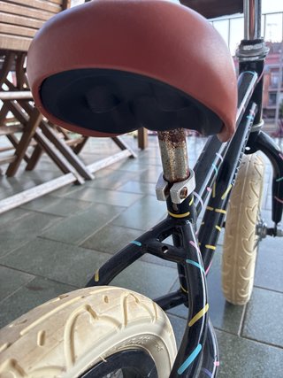 Bicicleta sin pedales Banwood