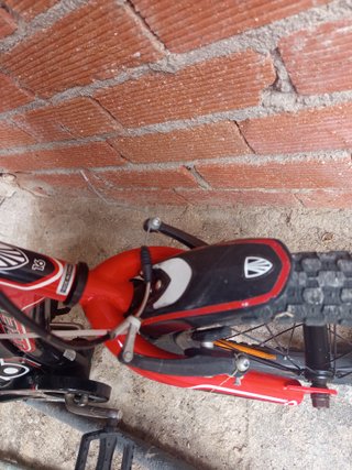 Bicicleta Infantil Trek Jet 16 Freno Contrapedal