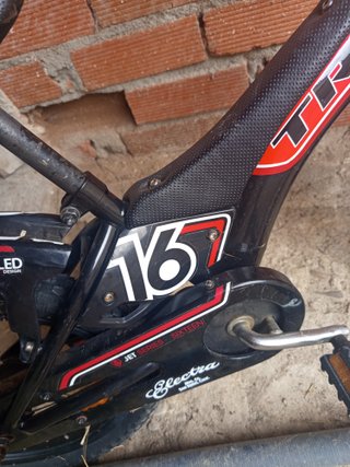 Bicicleta Infantil Trek Jet 16 Freno Contrapedal