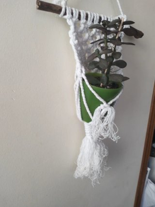Macetero Macramé Hecho a Mano
