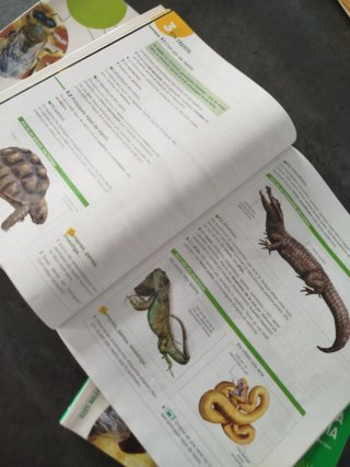 Biología i geología, ESO 1