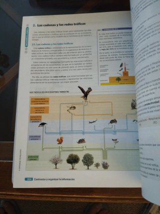 BIOLOGIA GEOLOGIA Y CIENCIAS AM. 1 bachillerato