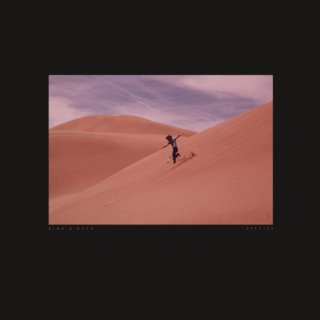 Vinilo Species - King & Ruth (2 LPs)