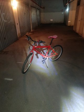 Bicicletta rossa misura 24