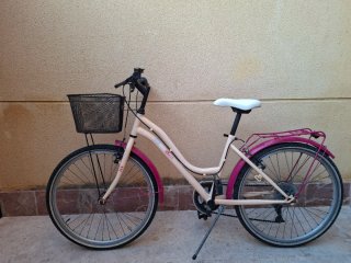 Bici Denbike Ethnic 24 niña