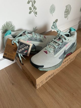 Nike Pegasus Trail 5 Gore-Tex Talla 45