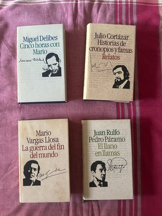 Libros Clasicos : Vargas Llosa , Delibes..