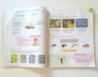 Ciencias de la naturaleza. 3 Primaria. Santillana