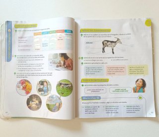 Ciencias de la naturaleza. 3 Primaria. Santillana