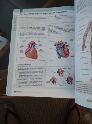 BGB, Biología y Geología, 1 Bachillerato