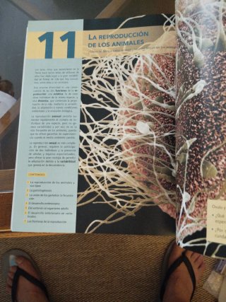 BGB, Biología y Geología, 1 Bachillerato