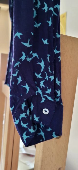 Camisa azul con estampado de pájaros  manga larga