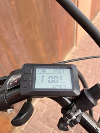 Bicicleta Paseo Eléctrica Wolfbike