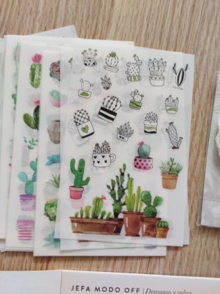 Pegatinas de cactus y plantas