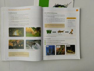 Ciencias de la Naturaleza 4o Primaria : Proyect...