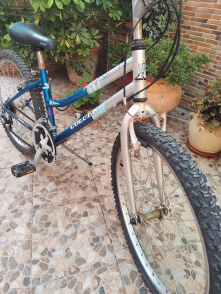 Bicicleta Coluer 24"