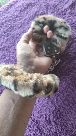 Esposas diseño leopardo. Para juegos entre adultos