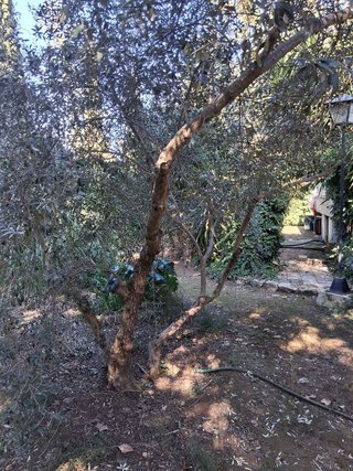 Chalet en venta en Torreperogil