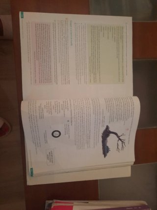 Lengua castellana y Literatura Revuela : 4 Secu...