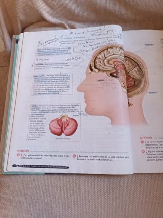 Biología y Geología 3º ESO. Libro del estudiant...