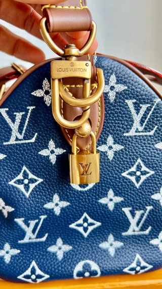 Bolso Louis Vuitton Azul y Marrón 25