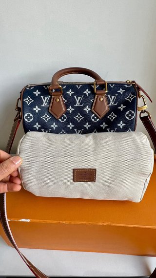 Bolso Louis Vuitton Azul y Marrón 25