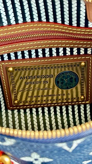 Bolso Louis Vuitton Azul y Marrón 25
