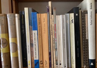 Llibres de literatura catalana 2