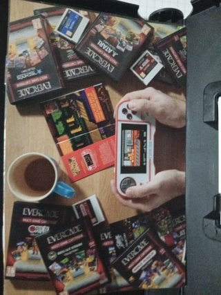 Evercade Xenocrisis Tanglewood Dual Game Cartridge