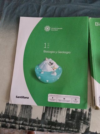 BIOLOGIA Y GEOLOGIA MEC 1ESO CONSTRUYENDO MUNDOS