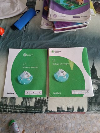 BIOLOGIA Y GEOLOGIA MEC 1ESO CONSTRUYENDO MUNDOS
