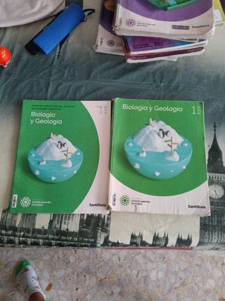 BIOLOGIA Y GEOLOGIA MEC 1ESO CONSTRUYENDO MUNDOS
