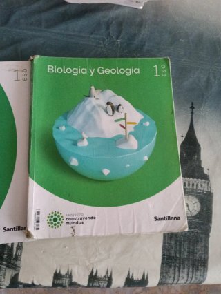 BIOLOGIA Y GEOLOGIA MEC 1ESO CONSTRUYENDO MUNDOS