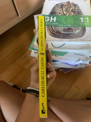 Libro El Príncipe de la Niebla