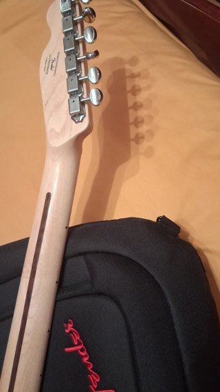Squier Thinline Guitarra Eléctrica