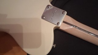 Squier Thinline Guitarra Eléctrica