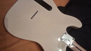 Squier Thinline Guitarra Eléctrica